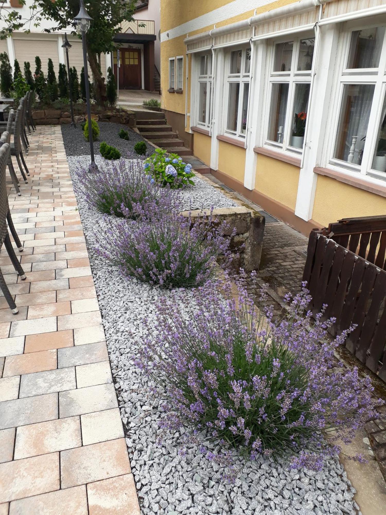 Hotel Eleon Bad Teinach-Zavelstein Exteriér fotografie
